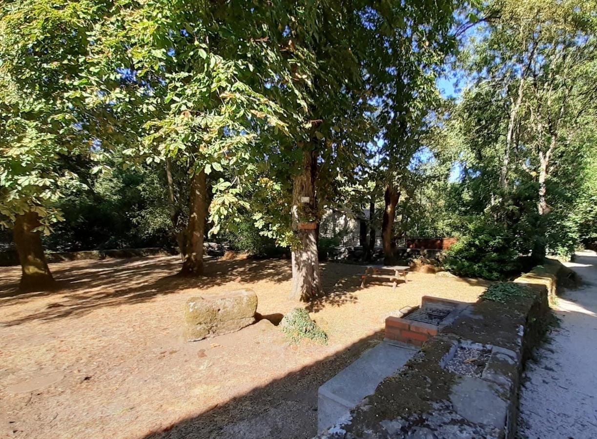 Village De Gites Du Moulin Neuf Getigne Exterior foto