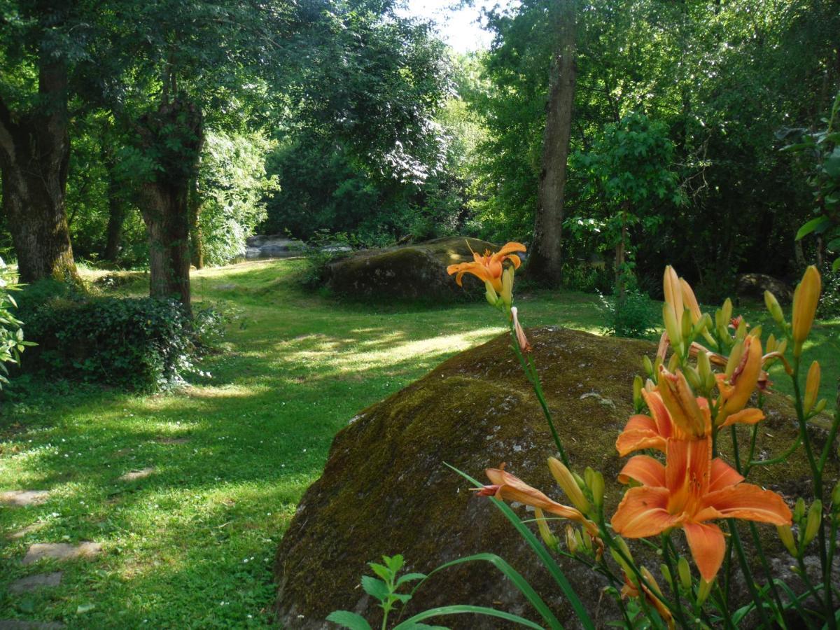 Village De Gites Du Moulin Neuf Getigne Exterior foto